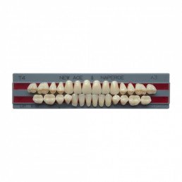 Глория  (A3-T4-M30) (28шт) -двухслойные акриловые зубы. Yamahachi (GLORIA NEW ACE)