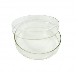 Чашка Петри стекло (без делений 100х20мм) 