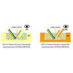 Омнихрома шпр. 4 г (2,1, мл) реставрационная система из одного шприца, Tokuyama (Omnichroma) — фото №3