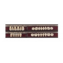 Спофадент Плюс (C3) 1/32-0/2-1/74 (28шт) - Трехслойные акриловые зубы SPOFA
