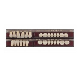 Спофадент Плюс (C2) 1/27-0/11-1/62 (28шт) - Трехслойные акриловые зубы SPOFA