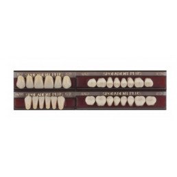 Спофадент Плюс (C2) 62-0/11-1/62 (28шт) - Трехслойные акриловые зубы SPOFA