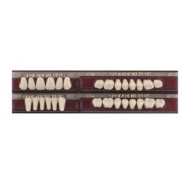 Спофадент Плюс (B2) 59-0/8-77N (28шт) - Трехслойные акриловые зубы SPOFA
