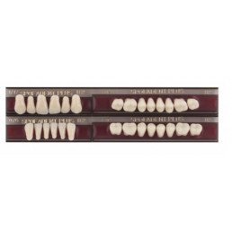 Спофадент Плюс (B2) 1/17-0/6-77N (28шт) - Трехслойные акриловые зубы SPOFA