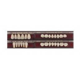 Спофадент Плюс (C2) 52-0/5-1/60 (28шт) - Трехслойные акриловые зубы SPOFA