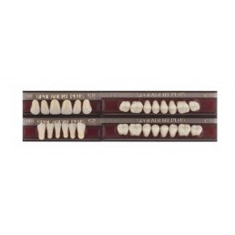 Спофадент Плюс (C2) 59-0/8-77N (28шт) - Трехслойные акриловые зубы SPOFA