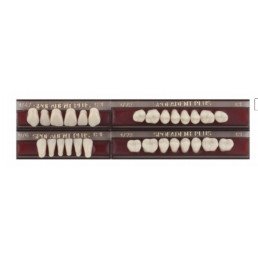 Спофадент Плюс (C1) 1/47-0/6-1/72 (28шт) - Трехслойные акриловые зубы SPOFA