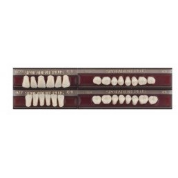 Спофадент Плюс (C1) 1/23-0/7-1/60 (28шт) - Трехслойные акриловые зубы SPOFA