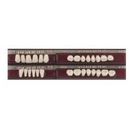 Спофадент Плюс (C1) 1/21-0/2-1/60 (28шт) - Трехслойные акриловые зубы SPOFA