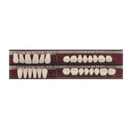 Спофадент Плюс (C1) 1/27-0/11-1/62 (28шт) - Трехслойные акриловые зубы SPOFA