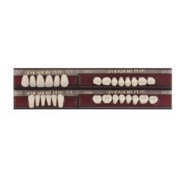 Спофадент Плюс (C1) 52-0/5-1/60 (28шт) - Трехслойные акриловые зубы SPOFA