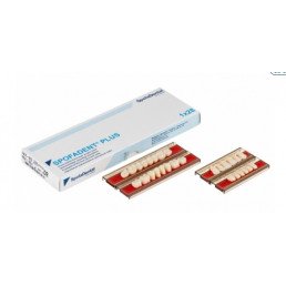 Спофадент Плюс (D2) 1/44-0/0-1/65 (28шт) - Трехслойные акриловые зубы SPOFA