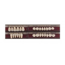 Спофадент Плюс (D3) 52-0/5-1/60 (28шт) - Трехслойные акриловые зубы SPOFA