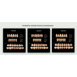 Зубы Anis акриловые двухлойные (A3,5 №11) (560 шт) Анис-Дент