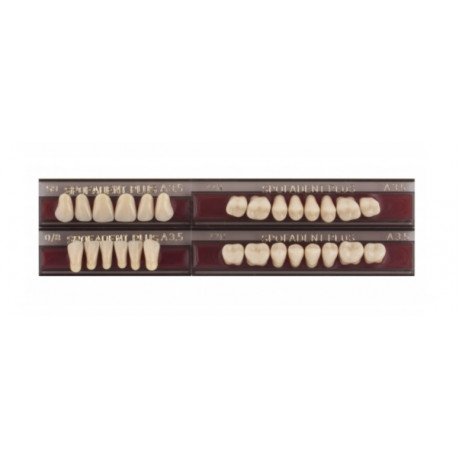 Спофадент Плюс (A3,5) 59-0/8-77N (28шт) - Трехслойные акриловые зубы SPOFA