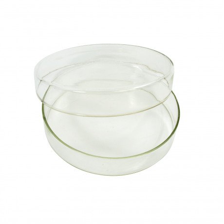 Чашка Петри стекло (без делений 100х20мм) 