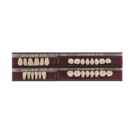 Спофадент Плюс (C3) 1/21-0/2-1/60 (28шт) - Трехслойные акриловые зубы SPOFA