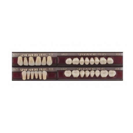 Спофадент Плюс (C3) 1/37-0/5-1/62 (28шт) - Трехслойные акриловые зубы SPOFA
