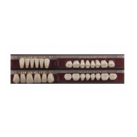 Спофадент Плюс (A2) 62-0/11-1/62 (28шт) - Трехслойные акриловые зубы SPOFA