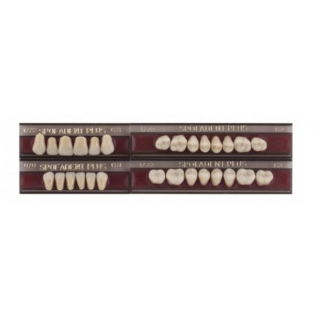 Спофадент Плюс (C3) 1/22-0/0-1/72 (28шт) - Трехслойные акриловые зубы SPOFA
