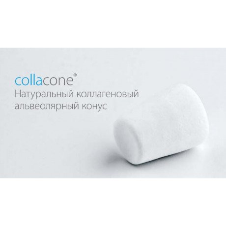 Collacone (12шт) Натуральный коллагеновый альвеолярный конус 16х11х7мм Botiss Biomaterials