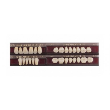 Спофадент Плюс (A3) 1/37-0/5-1/62 (28шт) - Трехслойные акриловые зубы SPOFA