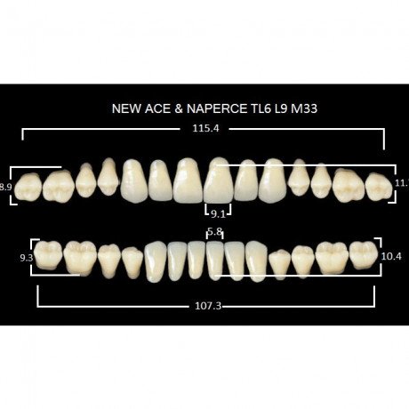 Глория  (A3-TL6-M33) (28шт) -двухслойные акриловые зубы. Yamahachi (GLORIA NEW ACE)  — фото №1