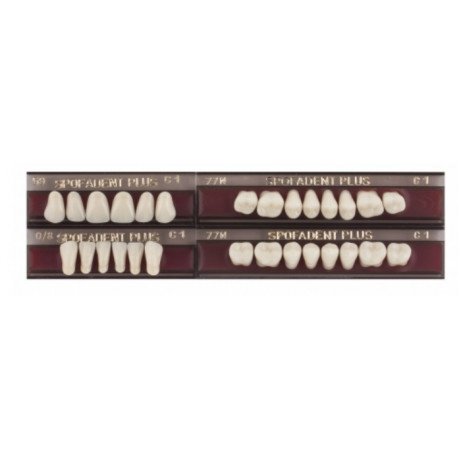 Спофадент Плюс (C1) 59-0/8-77N (28шт) - Трехслойные акриловые зубы SPOFA