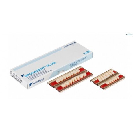 Спофадент Плюс (D2) 1/44-0/0-1/65 (28шт) - Трехслойные акриловые зубы SPOFA  — фото №1