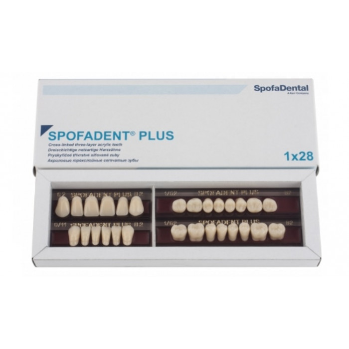 Спофадент Плюс (B2) 62-0/11-1/62 (28шт) - Трехслойные акриловые зубы SPOFA