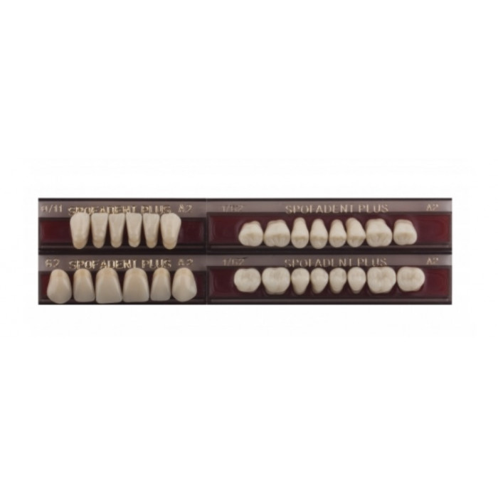 Спофадент Плюс (A2) 1/44-0/0-1/65 (28шт) - Трехслойные акриловые зубы SPOFA