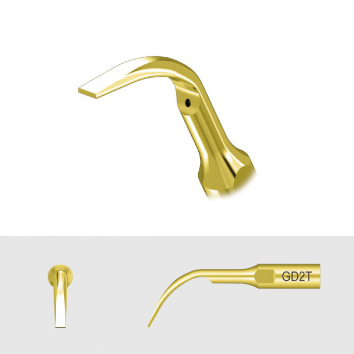 Насадка на скалер DTE/NSK - GD2T