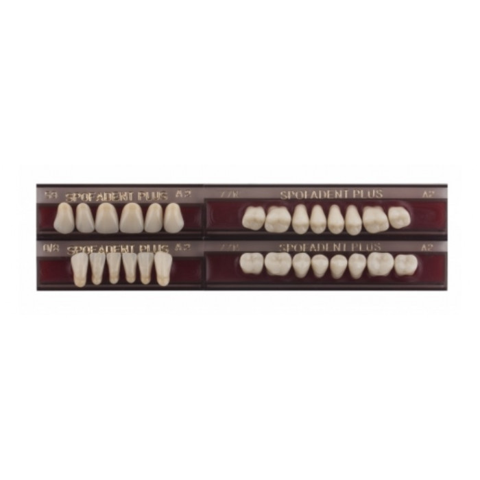Спофадент Плюс (A2) 59-0/8-77N (28шт) - Трехслойные акриловые зубы SPOFA