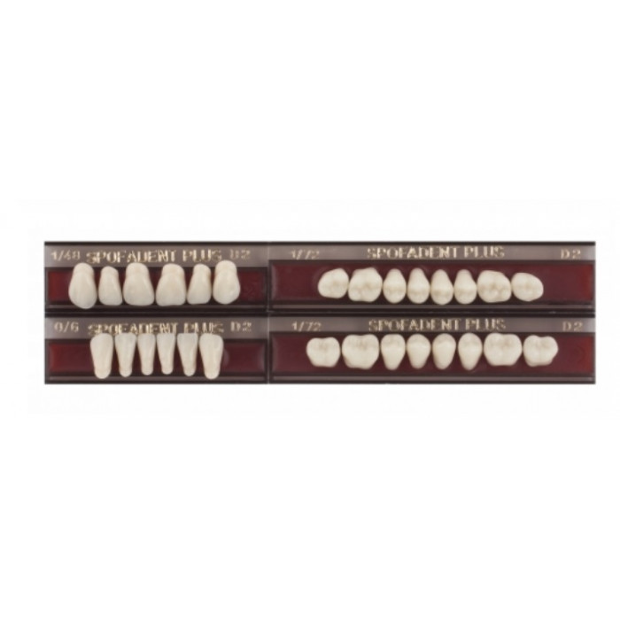 Спофадент Плюс (D2) 1/48-0/6-1/72 (28шт) - Трехслойные акриловые зубы SPOFA