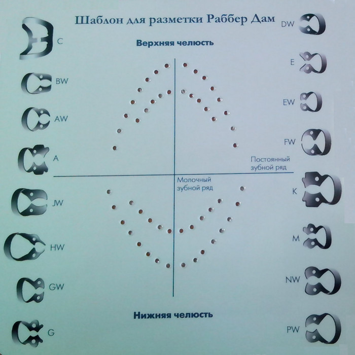 Шаблон для Коффердам (1 шт)
