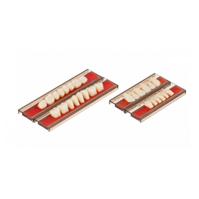 Спофадент Плюс (C1) 1/32-0/2-1/74 (28шт) - Трехслойные акриловые зубы SPOFA