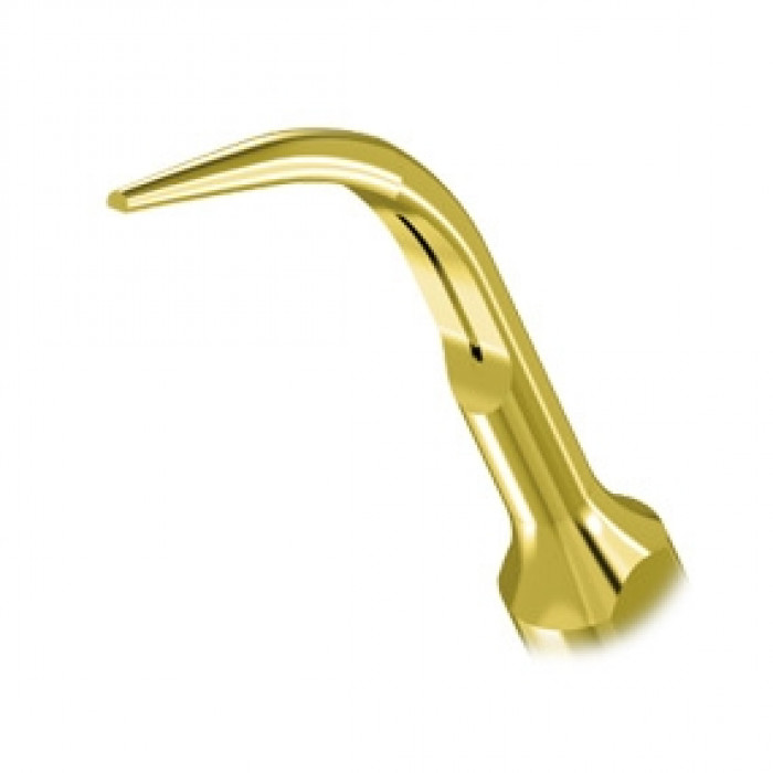 Насадка на скалер Woodpecker/EMS - G5T