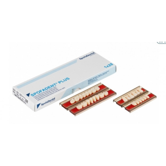 Спофадент Плюс (D2) 1/44-0/0-1/65 (28шт) - Трехслойные акриловые зубы SPOFA