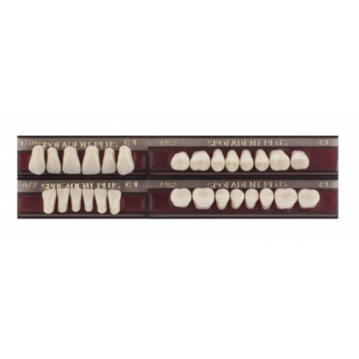 Спофадент Плюс (C1) 1/40-0/7-1/62 (28шт) - Трехслойные акриловые зубы SPOFA