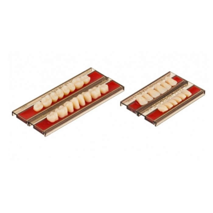 Спофадент Плюс (B2) 1/44-0/0-1/65 (28шт) - Трехслойные акриловые зубы SPOFA