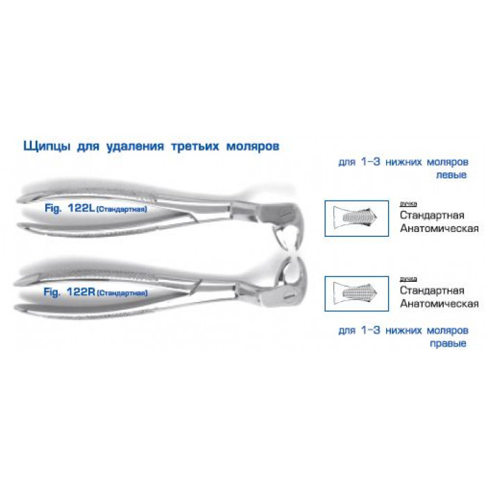 1 нижняя 3. Щипцы Fig 122r. Щипцы для удаления зубов для1-3нижних моляров, левые 12-122l. Щипцы для удаления верхних моляров название. Щипцы для удаления третьих моляров нижней челюсти.