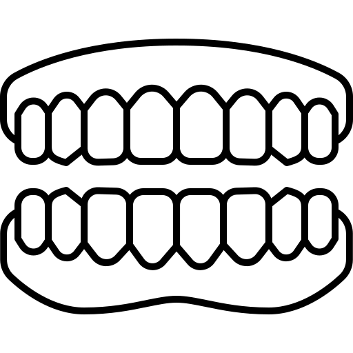 Челюсть